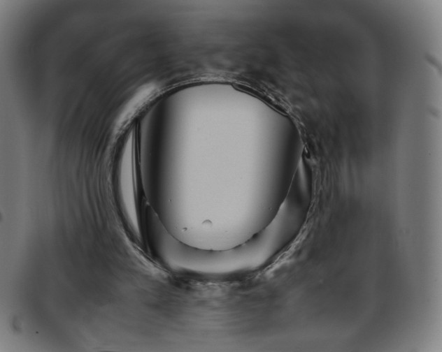 X0000097780197200803071357