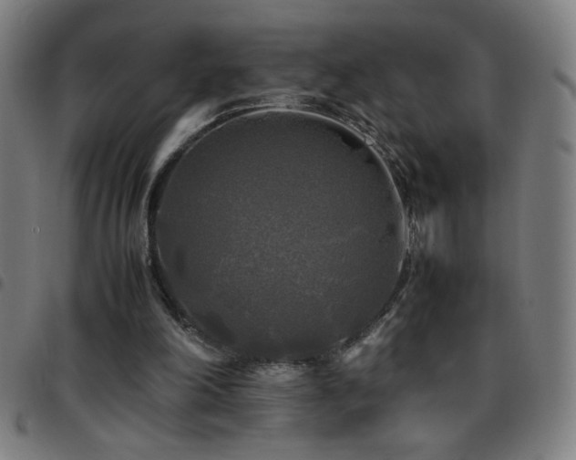X0000097780198200803071357