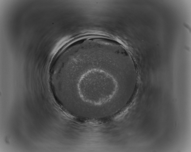 X0000097780199200803071357