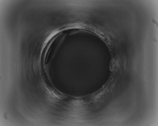 X0000097780200200803071357