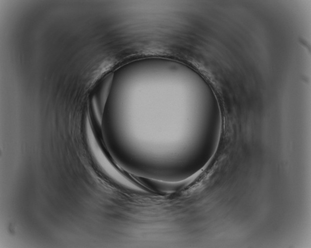 X0000097780201200803071357