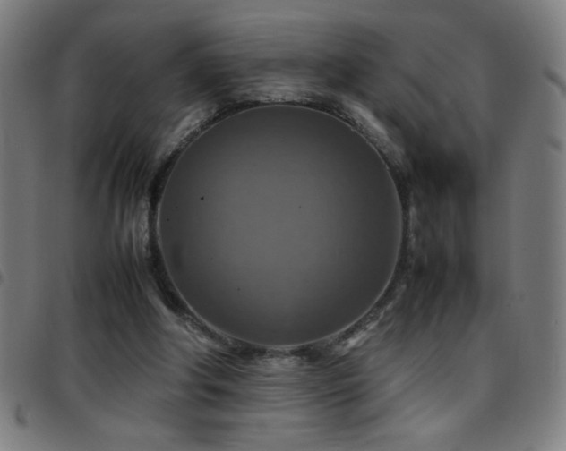 X0000097780202200803071357
