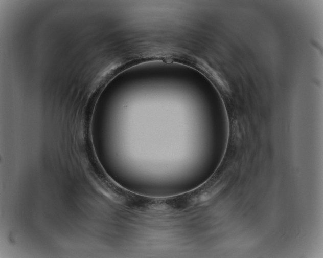 X0000097780203200803071357