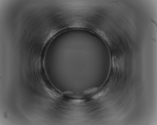 X0000097780204200803071357