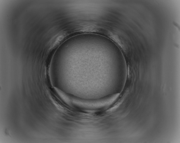 X0000097780205200803071357