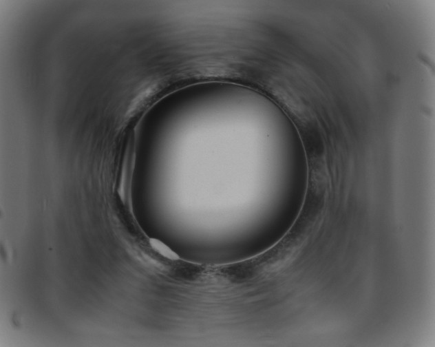 X0000097780207200803071357