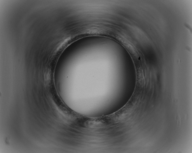 X0000097780208200803071357