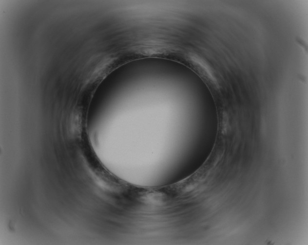 X0000097780210200803071357
