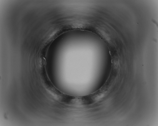 X0000097780211200803071357