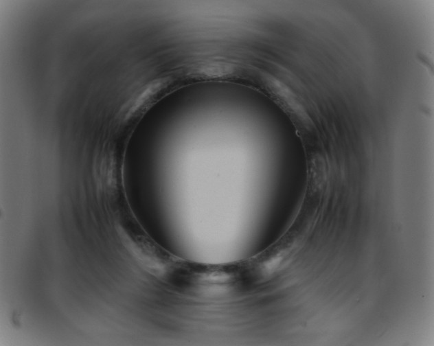 X0000097780212200803071357