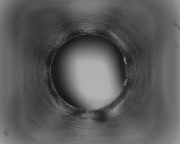 X0000097780213200803071357