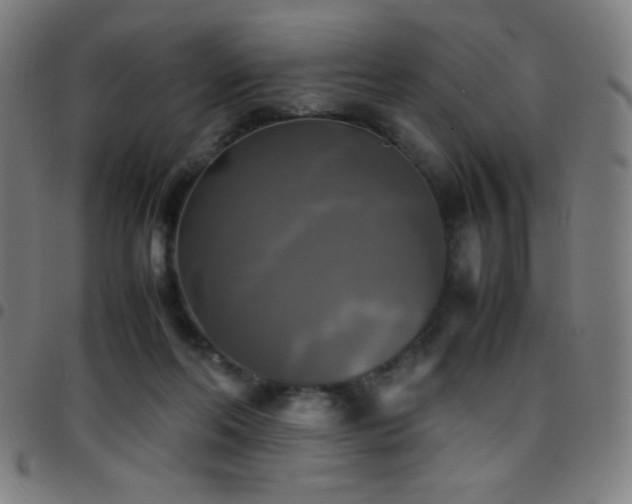 X0000097780214200803071357