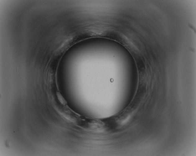 X0000097780215200803071357