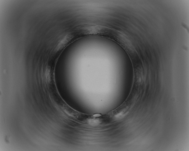 X0000097780216200803071357