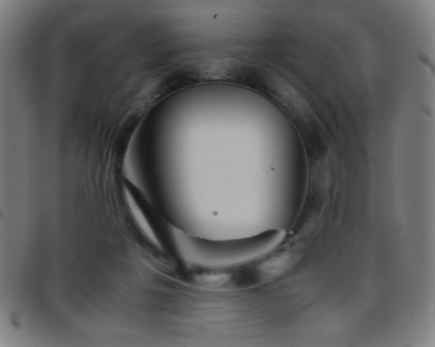 X0000097780217200803071357