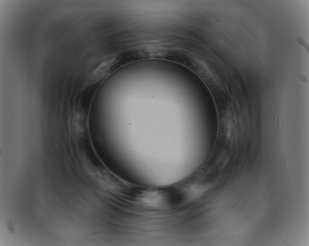 X0000097780218200803071357
