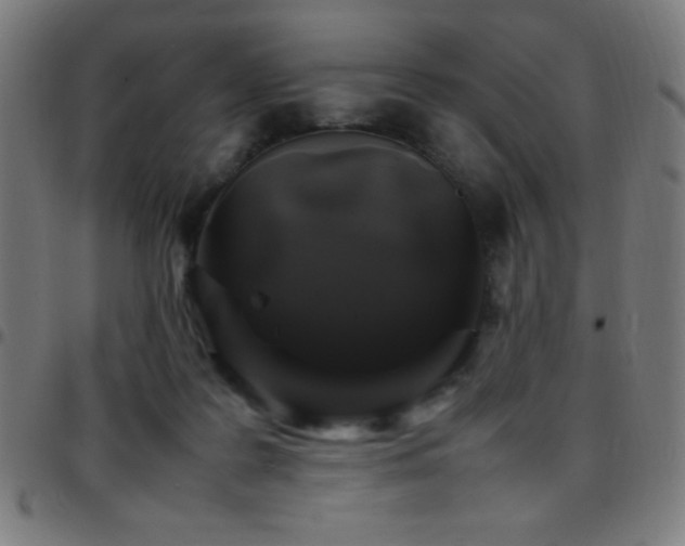 X0000097780219200803071357