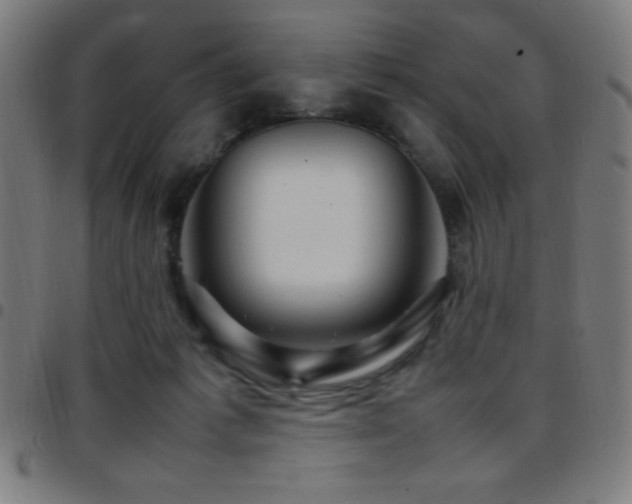 X0000097780221200803071357