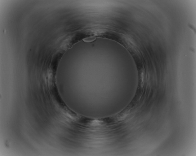 X0000097780222200803071357