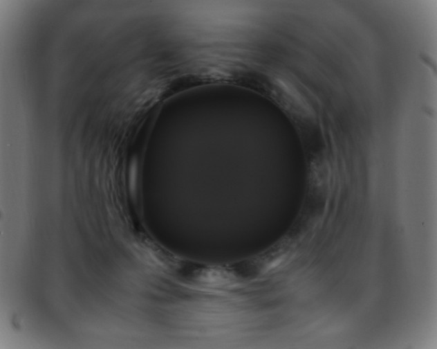 X0000097780223200803071357