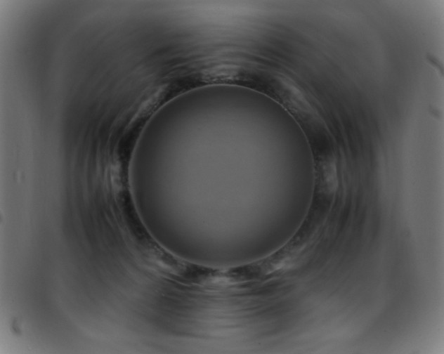 X0000097780224200803071357