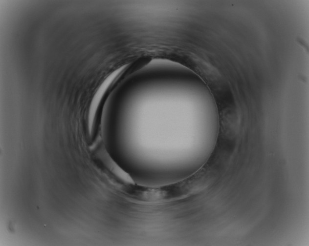 X0000097780225200803071357