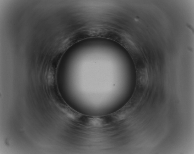 X0000097780226200803071357