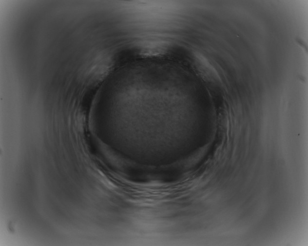 X0000097780227200803071357