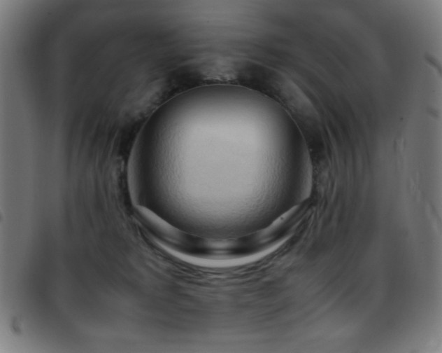 X0000097780229200803071357