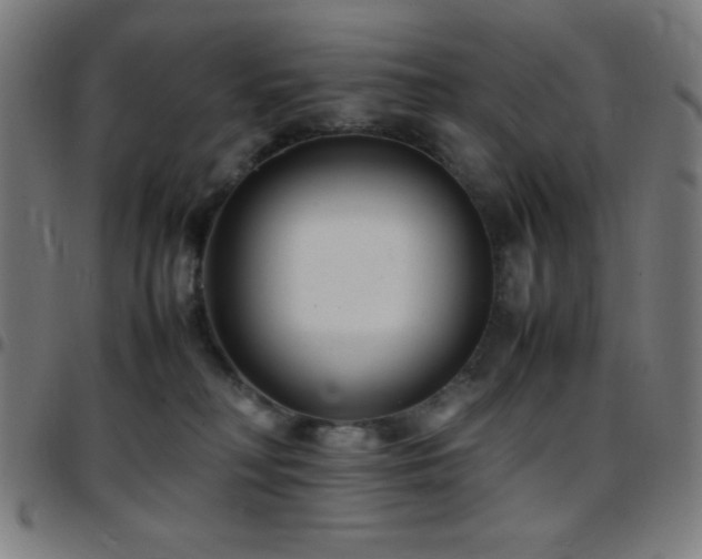 X0000097780230200803071357