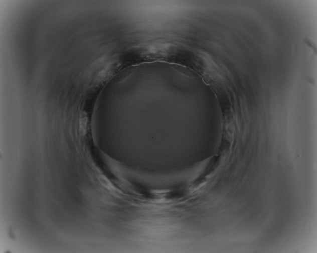 X0000097780231200803071357