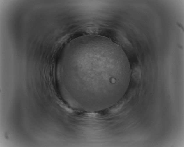 X0000097780233200803071357