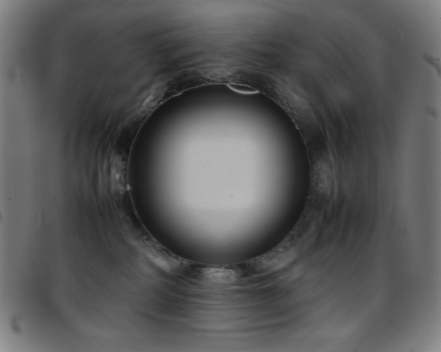 X0000097780234200803071356