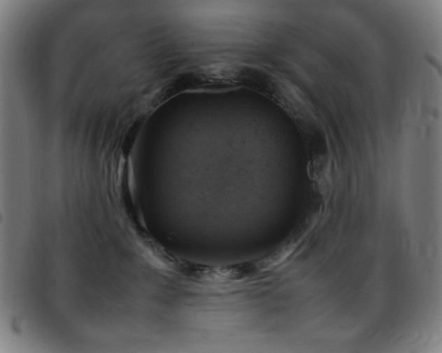 X0000097780235200803071356