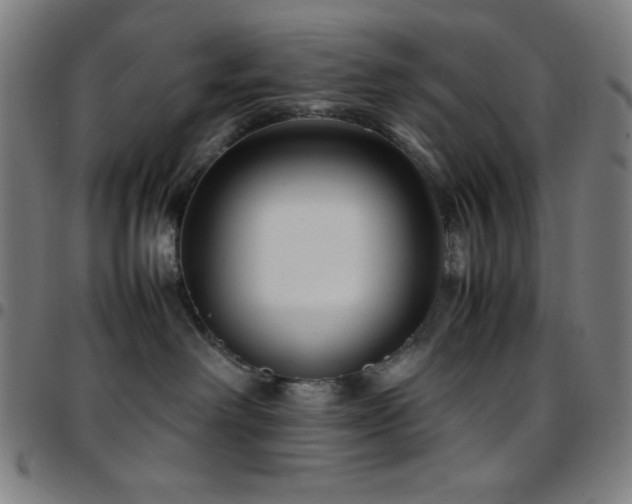 X0000097780238200803071356