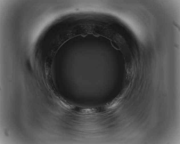 X0000097780239200803071356