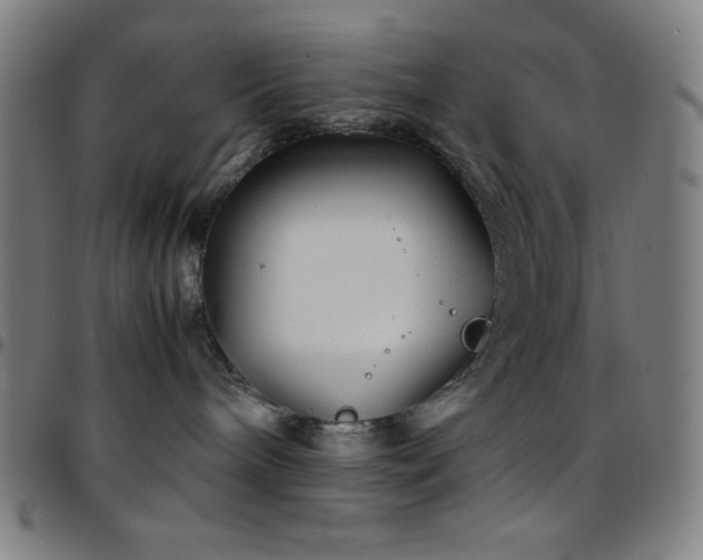 X0000097780240200803071356