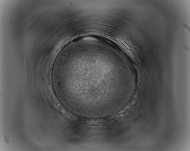 X0000097780241200803071356