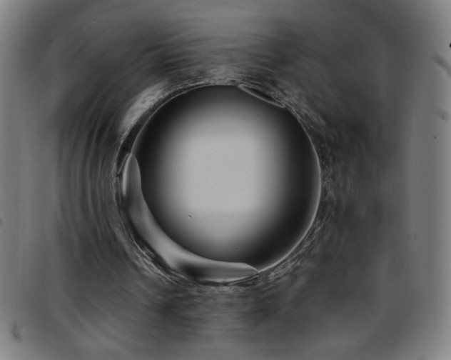 X0000097780242200803071356