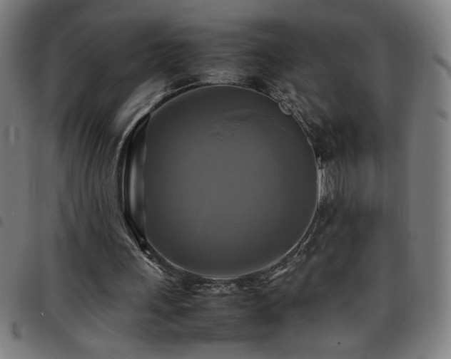 X0000097780243200803071356