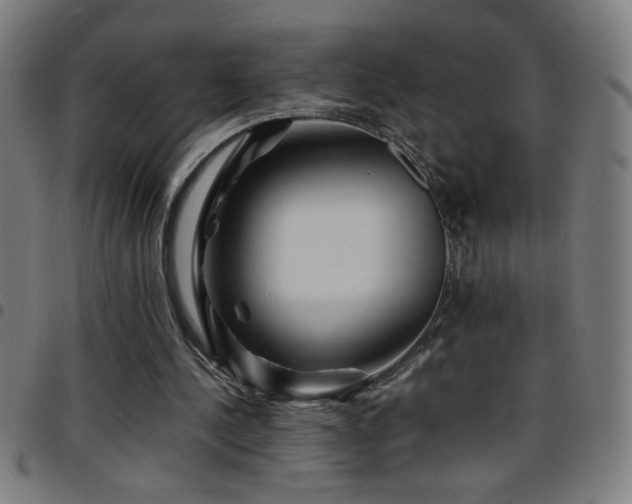 X0000097780244200803071356