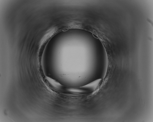 X0000097780245200803071356