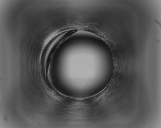 X0000097780246200803071356