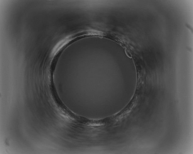 X0000097780247200803071356