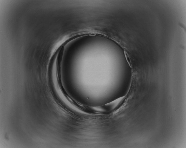 X0000097780248200803071356