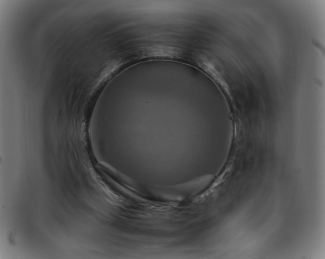 X0000097780249200803071356