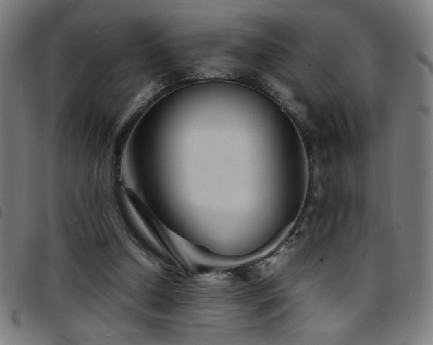 X0000097780250200803071356