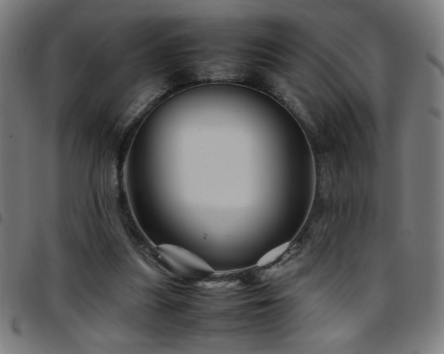 X0000097780251200803071356