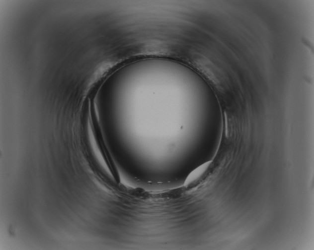 X0000097780252200803071356