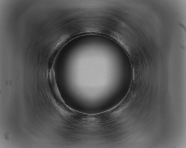 X0000097780253200803071356